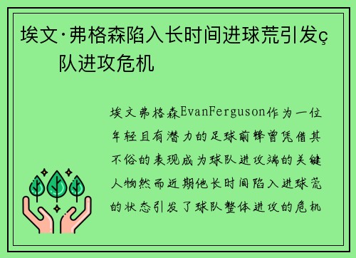 埃文·弗格森陷入长时间进球荒引发球队进攻危机